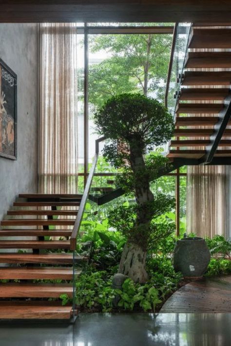 Modern Tropical Stairs, Internal Courtyard With Stairs, Indoor Garden Stairs, Courtyard Staircase Design, Staircase In Courtyard, Tropical Stairs, Stairs Modern Design, Modern Tropical House Interior, Tropical Staircase