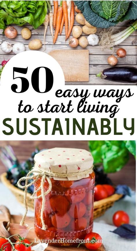 Back To Basics Living, Happy Homemaking, Living Sustainably, Homesteading Diy, Eco Life, Homesteading Skills, Homestead Living, Veg Garden, Living Off The Land