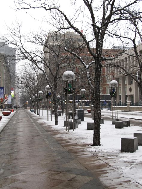 Winter Street in Denver, Colorado, Feb, 2015. Denver Colorado Aesthetic Winter, Denver Snow, Denver Winter, Colorado Aesthetic, Summer Feed, Colorado City, Aesthetic Places, Denver City, Winter City