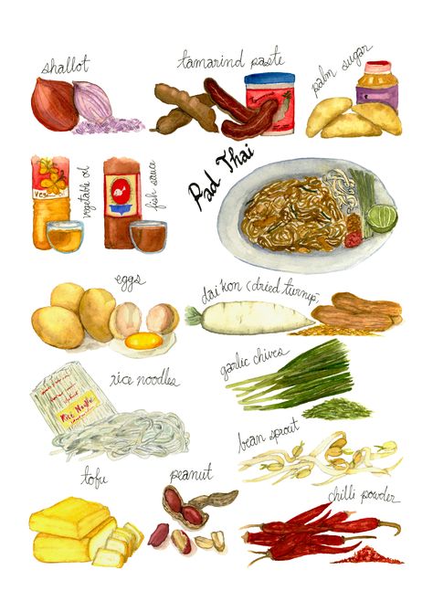 Beautiful watercolour of Pad Thai ingredients, one the most popular Thai food of all time. This painting will give you a list what you should shop for cooking this wonderful dish. Let's try to make you own Pad Thai. Thai Cooking Essentials, Pad Thai Illustration, Pad Thai Drawing, Thai Food Illustration, Pad Thai Ingredients, Collage Food, Thai Ingredients, Food Paintings, Kitchen Book