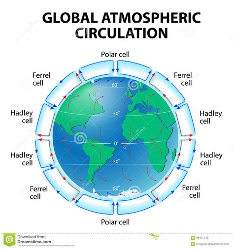 Circulation of Atmosphere. Global circulation patterns or Hadley-Ferrel Model #Sponsored , #sponsored, #advertisement, #Atmosphere, #circulation, #Ferrel, #Global Circulation Diagram, Atmospheric Circulation, Model Illustration, Aviation Education, Weather Science, Keystone Species, Teaching Geography, Geography Map, Christmas World