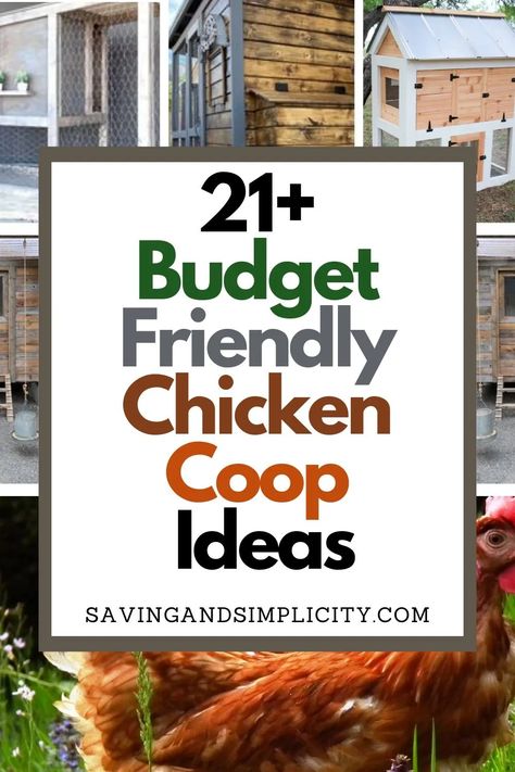 Save yourself a ton of cash & build a DIY chicken coop. Start raising hens in a pallet chicken coop or chicken house. Farm fresh eggs. Do it yourself, recycled, sustainable, upcycled chicken coops.  Chicken coops on a budget. Backyard chicken coops.  Urban farming. Grow your own food.  Collect your own eggs. Old Chicken Coop Decor Ideas, Cheap Coop Diy, Diy Tiny Chicken Coop, Repurposed Chicken Coop Upcycling, Wood Pallet Chicken Coop Hen House, Chicken Coop Rustic, Diy Indoor Chicken Coop, Chicken Cage Ideas Diy Hen House, Cute Coop Ideas