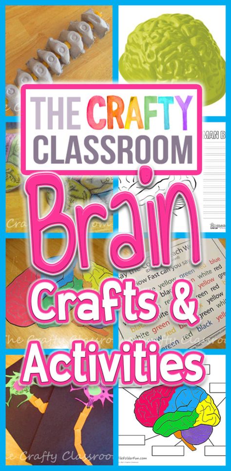 Check out these crafts, activities, and printables you can use during your brain or nervous system unit study!  https://thecraftyclassroom.com/crafts/anatomy-crafts-for-kids/brain-crafts-activities/?utm_campaign=coschedule&utm_source=pinterest&utm_medium=Valerie&utm_content=Brain%20Crafts%20and%20Activities Nervous System Craft, The Brain For Kids, Nervous System Projects, Human Body Unit Study, Nervous System Activities, Human Body Projects, Human Body Science, Brain Craft, Human Body Activities