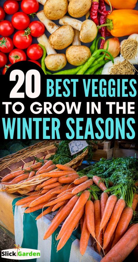 Growing Winter Vegetables, Growing Vegetables In Pots, Winter Veggies, Winter Greenhouse, Winter Vegetables Gardening, Tattoo Plant, Vegetable Garden Diy, Fall Vegetables, Fall Garden Vegetables