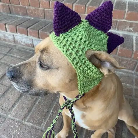 70 Crochet Dog Hat Patterns To Make Your Pet Look Super Cute - Cotton & Cloud Crochet Dinosaur Hat For Dog, Pet Hat Crochet Pattern, Crochet Puppy Clothes, Crochet Animal Clothes, Crochet Dog Headband, Pet Crochet Hat, Things To Crochet For Your Dog, Crochet Dog Shoes, Dog Crochet Projects