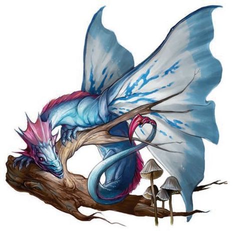 Faerie Dragon, Chromatic Dragon, Dragon Png, Dragon Family, Tiny Dragon, Dragon Heart, Fairy Dragon, Legendary Creature, Blue Dragon