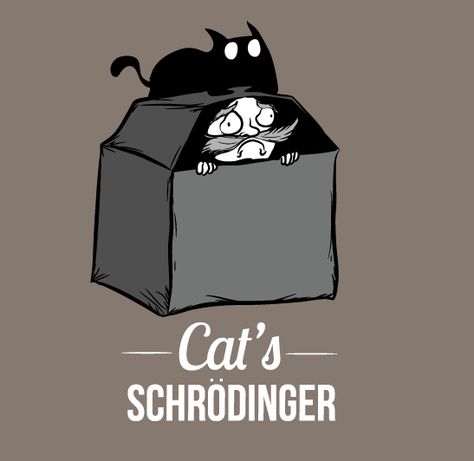 cat's schrödinger exploding kittens oatmeal Science Cat, Physics Memes, Physics Humor, Schrödinger's Cat, Base Jump, Psychological Facts Interesting, Exploding Kittens, Kitten Art, Irish Quotes