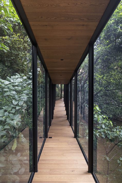 Two House Connected, Pretoria South Africa, Forest Lodge, Entertaining House, Timber Beams, Oak Flooring, Walnut Oil, Tree Canopy, Canopy Design