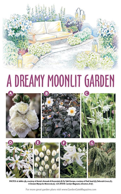 Compost Container, Evening Garden, Goth Garden, Witch Garden, Garden Plan, Moon Garden, Night Garden, Have Inspiration, Flowers Wallpaper