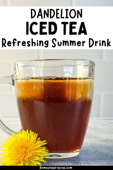 Easy Dandelion Iced Tea Dandelion Tea Recipe, Orange Pekoe Tea, Iced Tea Recipe, Making Iced Tea, Dandelion Tea, Foraging Recipes, Dandelion Jelly, Iced Tea Recipes, Refreshing Salad