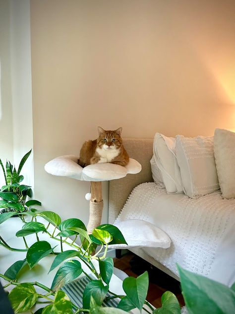 Cat Bed On Bed, Cat Home Accessories, Chic Cat Tree, Cat Trees Aesthetic, Cute Cat Furniture, Aesthetic Cat Stuff, Cat Friendly Apartment, Aesthetic Cat Tree, Cute Cat Tree