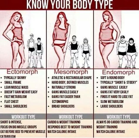 Good chart Ectomorph Women Workout, Average Weight Chart Women, Endomorph Body Type Woman, Endomorph Diet Women, Endomorph Workout Plan, Endomorph Women, Mesomorph Women Diet, Endomorph Workout, Mesomorph Diet