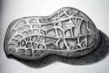 Skin of a peanut Magnification Art Drawings, Invented Texture, Texture Drawings, Simulated Texture, Intermediate Art, February Art, Igcse Art, Sketchbook Assignments, Texture Ideas