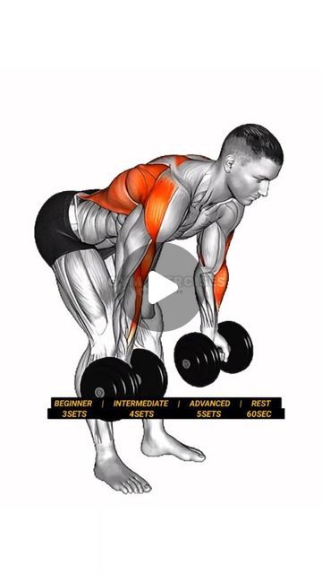 Arms And Abs Workout Weights, Lat Dumbell Exercises, Back Exercises With Weights, Back Workouts With Dumbbells, Back Workout Dumbell, Dumbell Back Workout, Back Workout With Dumbbells, Back Exercises For Men, Dumbbell Back Exercises