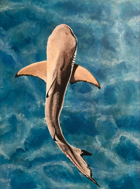 Acrylic painting 30x40cm Painting Ideas Marine Life, Marine Life Painting Acrylic Easy, Easy Shark Painting On Canvas, Tiger Shark Painting, Shark Painting Acrylic Easy, Stingray Painting Acrylic, Cute Shark Painting, Sea Animal Paintings Easy, Whale Shark Painting Acrylic