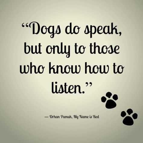 Truth♡ Dog Rules, Memes Humor, Animal Quotes, Dog Quotes, Pet Grooming, Training Tips, To Listen, Border Collie, Shih Tzu