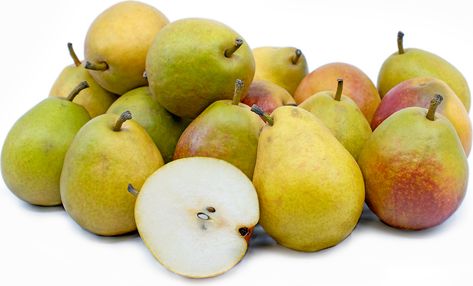 Seckel Pears Information, Recipes and Facts Seckel Pear Recipes, Seckel Pear, Tree Facts, Choy Sum, Ghost Plant, Bell Pepper Recipes, Beet Recipes, Artichoke Recipes, Red Blush