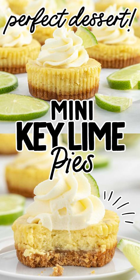 Key Lime Cheesecake Recipe, Key Lime Filling, Key Lime Pies, Mini Key Lime Pies, Mini Pie Crust, Dessert Summer, Individual Pies, Key Lime Cheesecake, Keylime Pie Recipe