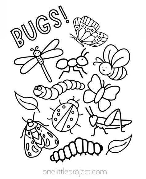 Bug Books For Toddlers, Insects Coloring Pages For Kids, May Coloring Pages For Kids, Bug Coloring Pages For Preschool, 2nd Grade Coloring Sheets, Homeschool Coloring Pages, Ladybug Coloring Page Free Printable, Insect Coloring Pages Free Printable, Free Toddler Coloring Pages