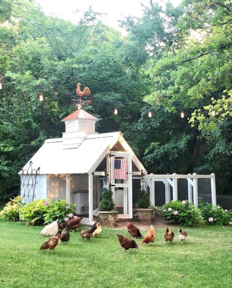 Cute Chicken Coops, Chicken Coop Garden, Chicken Coup, Fancy Chickens, Coop Design, Animal Husbandry, Farm Living, Chicken Coop Designs, Chicken Garden