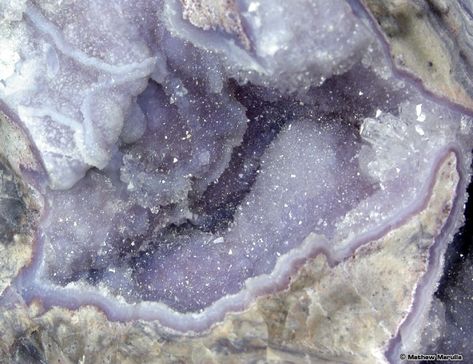 Closeup of Complex Amethyst Geode Mazzy Star, Pretty Rocks, Purple Aesthetic, Gems And Minerals, Crystal Gems, The Purple, Crystals Minerals, Rocks And Minerals, Rocks And Crystals