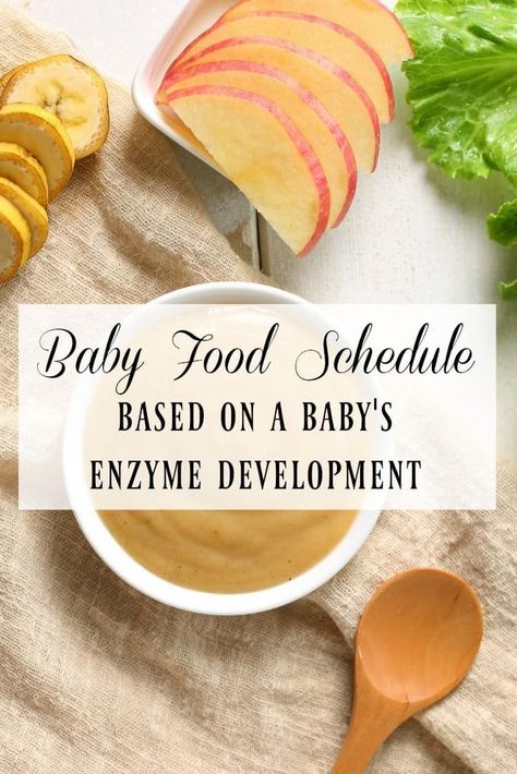 There are more things to consider when introducing solids to a baby than just age! Check out this baby food schedule based on a baby's enzyme development! #babyfood #scheudle #enzymedevelopment #enzymes #baby #solids #startingsolids Baby Feeding Chart Introducing Solids, Food Schedule, Baby Food Recipes Stage 1, Baby Food Schedule, Baby Food By Age, Baby Feeding Chart, Baby & Toddler Food, Food Program, Starting Solids