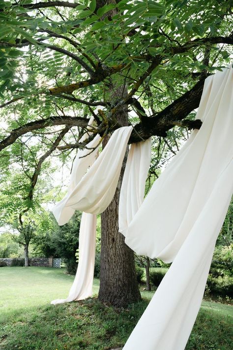 Draping Outdoor Wedding, Wedding Tree Drapery, Drapery In Trees Outdoor Weddings, Diy Backyard Wedding Decorations, Wedding Ceremony Draping, White Drapes Wedding, Ceremony Draping, Ceremony Arbour, Charleston Elopement