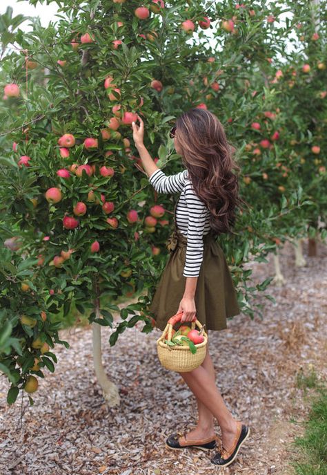 10 Trends to Try this Fall (with affordable shopping links for each)    #fall #fashion #trend #autumn Apple Picking Photography, Apple Orchard Photography, Apple Picking Photos, Apple Picking Outfit Fall, Apple Picking Season, Yummy Pie Recipes, Apple Picking Outfit, Picking Apples, Apple Farm