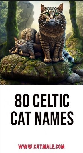 Celtic Cat Names Magical Cat Names, Cat Mythology, Celtic Names, Loki Cat, Boy Cat Names, Celtic Name, Celtic Cats, Unique Cat Names, Celtic Animals