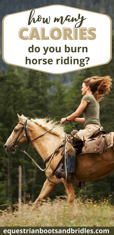 Beginner Jumping Exercises Horse, Horse Riding Tips Jumping, Horse Riding Workouts, English Riding Tips, Horse Riding Tips Western, Horse Riding Tips For Beginners, Western Riding Outfit, Horseback Riding Outfit Western, Trail Riding Outfit