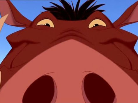 Pumba Lion King, King Character, Timon And Pumbaa, Disney Lion King, Disney Addict, Disney Life, Circle Of Life, Disney Animation, Lion King