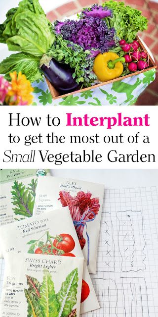 Plot Planner, Small Vegetable Garden, Vegetable Garden Planner, Southern Mom, Small Vegetable Gardens, Indoor Vegetable Gardening, Organic Vegetable Garden, Garden Planner, Garden Types