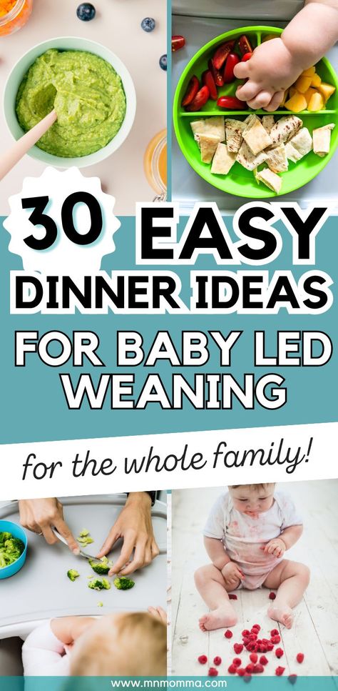 Meal ideas for dinner with baby led weaning (BLW) for the whole family Baby Food 9-12 Months Meal Ideas, Finger Food 6 Month Old, Dinners For 10 Month Old, Finger Food For 6 Month Old Baby, Dinner Ideas For 6 Month Old, Easy Meals 10 Month Old, Food 12 Month Old, 6 Months Solid Food, Dinner Ideas For 11 Month Old