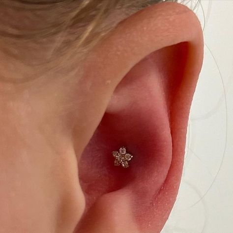 Flower Conch Piercing, Cute Conch Piercing, Conch Ear Piercings, Conch Stud Piercing, Dainty Piercings, Conch Piercing Ideas, Conch Ear Piercing, Ear Designs, Conch Piercing Stud