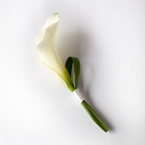 Modern Calla Boutonniere – from Pops of Plum $15 White Tulip Corsage, Calla Lilly Boutineer Ideas, Calla Boutonniere, Cop Wedding, Calla Lillies Wedding, Calla Lillies Bouquet, Flowers Wedding Ceremony, White Calla Lily Bouquet, Puglia Wedding