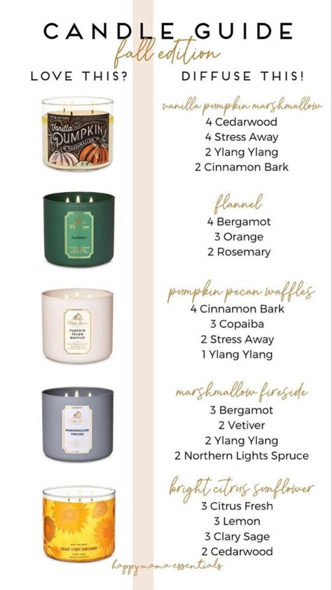 Popular Candle Scents Essential Oils, Copycat Candle Scent Recipes, Ditch And Switch Candle Guide, Soy Candle Scents Recipes, Candle Scent Recipes, Candle Making Scent Recipes, Candle Fragrance Recipes, Candle Guide, Best Candle Scents