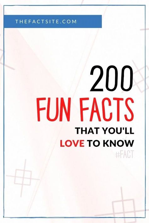 Love fun facts? We love them too! That's why we've got an awesome list of the top 200 most interesting and fun facts! Here you'll find out about a goat that served in the British Army, how to get free McDonald's for life, and what the irrational fear of fun is! Find the answers and more with these 200 random, fun facts that you'll love to know! #TheFactSite #Facts #RandomFacts #InterestingFacts #200Facts #FunFacts #FactsList #AmazingFacts Random Fact Of The Day, Mind Blowing Facts Unbelievable Funny, Random Fun Facts Funny, Random Fun Facts Mind Blowing, Did You Know Facts Mind Blown, Weird Facts You Didnt Know, Fun Facts About Me Ideas, Weird Facts Random, Animal Fun Facts