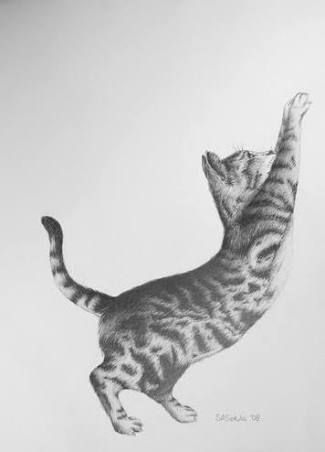 Drawing of cat stretching Drawing Of Cat, Chocolate Drawing, Chocolate Sculpture, Chocolate Sculptures, Cat Stretching, Cat Motif, Sushi Art, Cat Tattoos, Cat Tattoo Designs