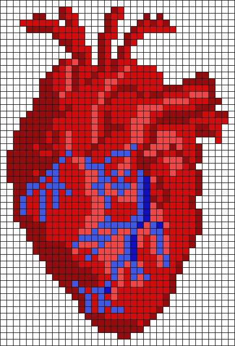 Crochet Human Anatomy, Crochet Anatomical Heart, Anatomical Heart Cross Stitch, Alpha Grid, Pixel Grid Crochet, Alpha Patterns Crochet, Crochet Alpha Pattern, Pixel Art Heart, Grid Crochet Patterns