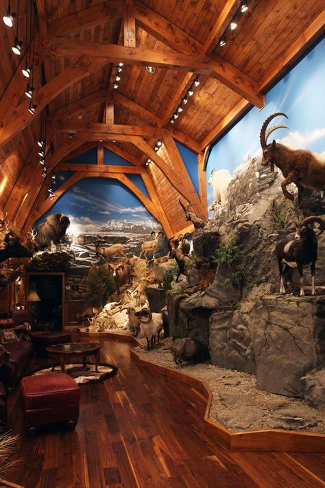 Trophy Rooms — Frank Newmyer Mountain Installation, Trophy Rooms Hunting, Hunter House, Deer Hunting Decor, Best Man Caves, Taxidermy Decor, Hunting Room, Corner Display, Trophy Rooms