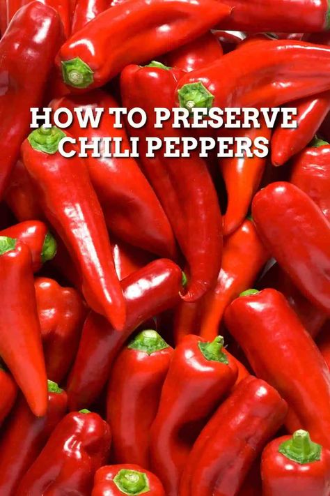 How To Use Chili Peppers, How To Preserve Fresh Chillies, Fresh Chili Pepper Recipes, Recipes With Chili Peppers, Thai Hot Pepper Recipes, What To Do With Chili Peppers, Preserve Chillies, Preserving Chillies, Preserved Chillies