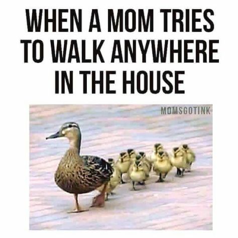 This is me!! Sms Humor, Confidence Kids, Mom Memes, Mom Jokes, Parenting Memes, Humor Memes, Mommy Life, Parenting Humor, E Card