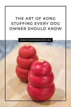 Kong Stuffing Recipes, Kong Stuffing, Frozen Dog Treats, Dog Biscuit Recipes, Easy Dog Treats, Healthy Dog Treats Homemade, Cairn Terriers, Dog Treats Homemade Recipes, Frozen Dog