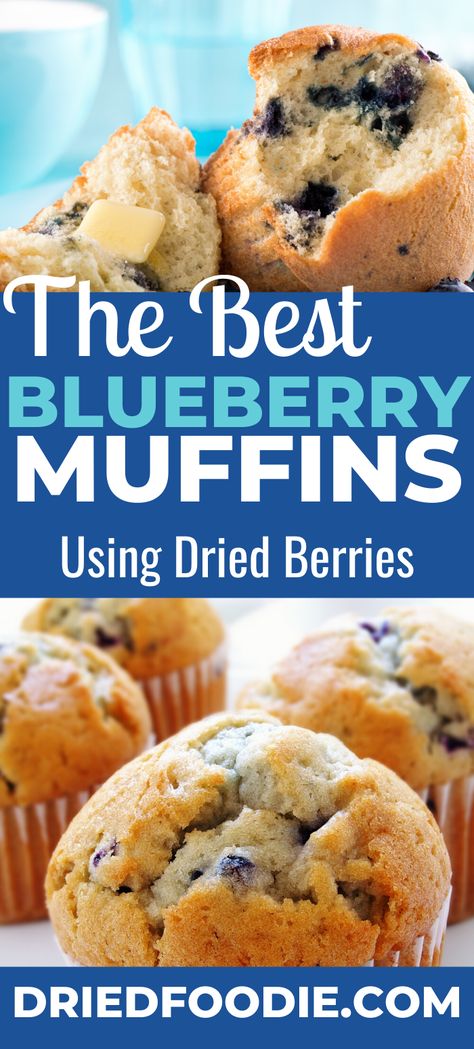 Blueberry Muffins In A Jar, Dry Blueberries Recipes, Muffins With Dried Blueberries, Dried Blueberries How To Use, Blueberry Muffins Dried Blueberries, Recipes Using Dried Blueberries, Freeze Dried Blueberry Muffins, Freeze Dried Blueberry Recipes, Dried Blueberry Recipes Baking