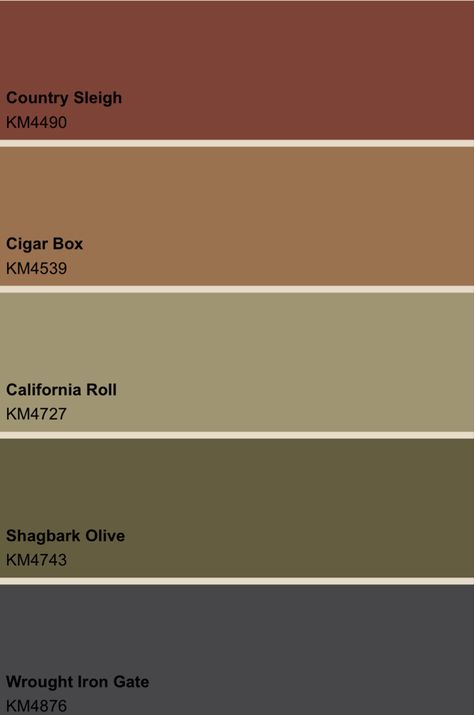 Rust Color Interior Design, Rust Color Kitchen Walls, Terracotta Paint Color Kitchen, Rust Exterior Paint House Colors, Leather Brown Paint Color, Rust Wall Color Bedroom, Rusty Brown Paint Colors, Rust Wall Paint, Rust Exterior House Colors