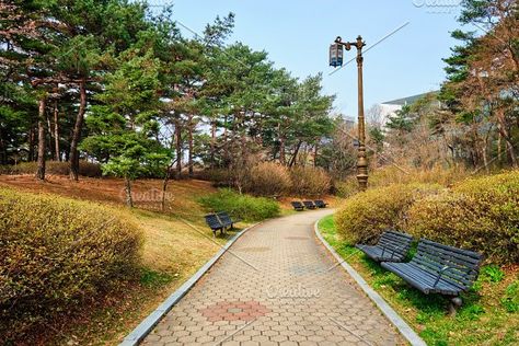 Yeouido Park, Seoul Park, Korea Park, South Korea Culture, Korea Culture, Wattpad Cover Template, Seoul Street, Screen Laptop, Korea Wallpaper