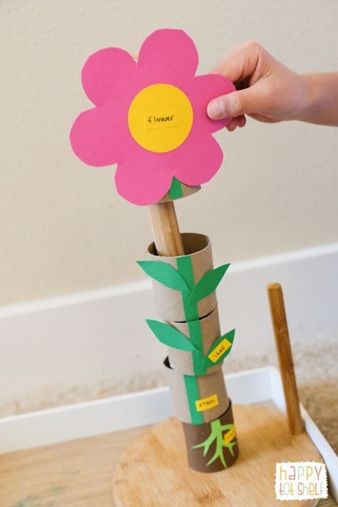 TP ROLL PARTS OF A FLOWER Learning Toy - Happy Tot Shelf Gardening Preschool, Preschool Garden, Flower Puzzles, Planting For Kids, Plant Activities, Flower Toy, Plant Crafts, Flower Theme, Parts Of A Flower