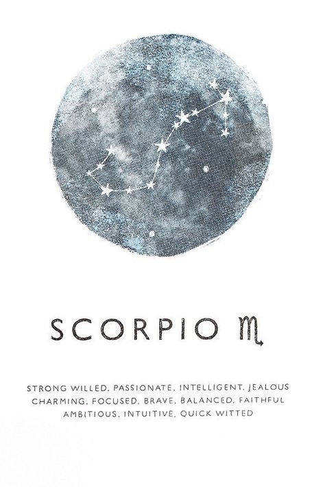 Scorpion Art, Scorpio Constellation Tattoos, Scorpio Zodiac Tattoos, Aquarius Constellation Tattoo, Star Sign Art, Zodiac Quotes Scorpio, Scorpio Star, Zodiac Sign Scorpio, Scorpio Art