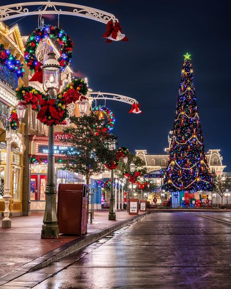 Theme Park Alex on Instagram: “Christmas on Main Street 🎄 ⁣ ⁣ ⁣ #mvmcp #magickingdompark #mainstreetusa #cinderellacastle #mickeymouse #disneysmagickingdom…” Magical Lifestyle, Disney Savings, Green Christmas Tree Decorations, Elegant Christmas Tree Decorations, Disney Christmas Tree, Disneyland Christmas, Disney World Christmas, Christmas Shoot, Christmas Scenery