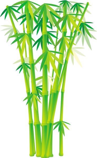 Bamboo and Grass Plant Vector 02 Png Logo, Plant Vector, Bamboo Forest, Vector Logo, Stretching, Planting Flowers, Bamboo, Herbs, Forest